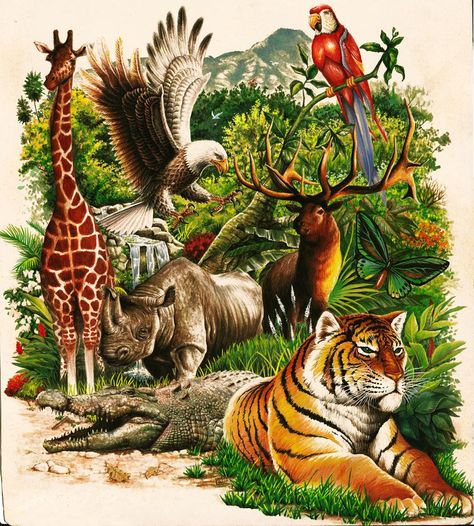 Jungle Animal Art, Boho Art Drawings, Wildlife Paintings, Wild Creatures, Arte Animal, Jolie Photo, Jungle Animals, Sweet Animals, Watercolor Animals