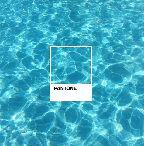 Pantone Design, Pantone Art, Swimming Design, Pool Art, Pool Colors, Blue Bar, Pool Maintenance, Summer Pool, Water Painting