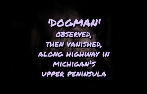 Michigan Dogman, Michigan Cryptids, Dogman Encounters, Famous Cryptids, Alpena Michigan, Hail To The Victors Michigan, Paranormal Stories, Bigfoot Sightings, Dearborn Michigan