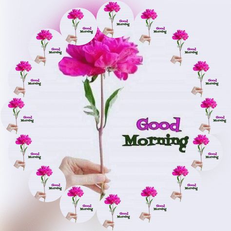 Good Morning GIF Animation Images And Videos | More Good Morning Gif Images, Good Morning Animated Images, Gd Morning, Good Morning My Friend, Flowers Quotes, Whatsapp Videos, Good Morning Flowers Quotes, Good Morning Roses, Good Morning Animation