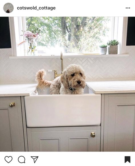 Pebble coloured kitchen from Wren Wren Pebble Grey Kitchen, Wren Mushroom Kitchen, Pebble Colour Kitchen, Pebble Grey Kitchen, Wren Kitchen Ideas, Pebble Kitchen, Wren Kitchens, Wren Kitchen Shaker, Greige Kitchen