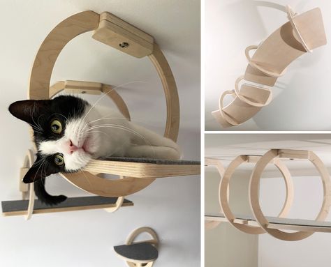 Hanging Cat Bed, Cat Climbing Wall, Chat Diy, Cat Bedroom, Cat Gym, Cat Patio, Cat Hotel, Cat Wall Shelves, Cat Wall Furniture