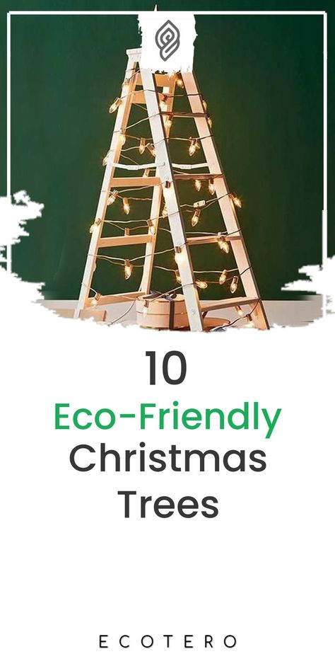 Eco Friendly Christmas Tree, Sustainable Christmas Tree, Eco Christmas, Sustainable Christmas, Eco Lifestyle, Eco Friendly Christmas, Eco Clothing, Reduce Your Carbon Footprint, Alternative Christmas Tree