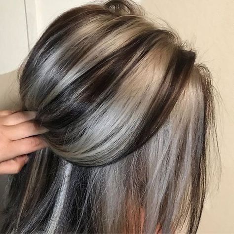 Skunk Hair, Funky Hair, Woman Hairstyles, Hair Streaks, Gray Hair Highlights, Long Gray Hair, High Maintenance, Winter Hair Color, Hair Color Highlights