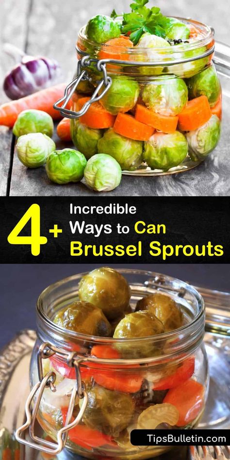 Find out how to can Brussels sprouts with garlic cloves, mustard seeds, and other veggies. They make a great snack or Bloody Mary garnish. Use self-sealing pint jars sealed in a boiling water bath. Make sure to eliminate air bubbles before sealing. #canning #brussels #sprouts Canned Brussel Sprout Recipes, Pickled Brussels Sprouts Recipe, Pickled Brussel Sprouts, Garlic Brussel Sprouts, Canning Kitchen, Low Acid Recipes, Canning Vegetables, Canning Tips, Jalapeno Recipes