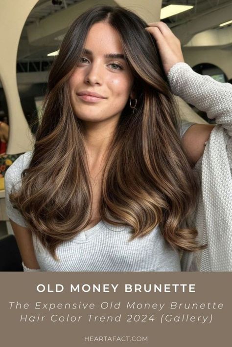 Explore the "expensive brunette" gallery trend. Rich, chic, and timeless! with expert care tips to maintain your luxurious locks Tattoo Partner, Expensive Brunette, Wedding Ponytail Hairstyles, Wedding Ponytail, Haircuts Medium, Colored Hair Extensions, Medium Layered Haircuts, Small Face, Brunette Balayage Hair