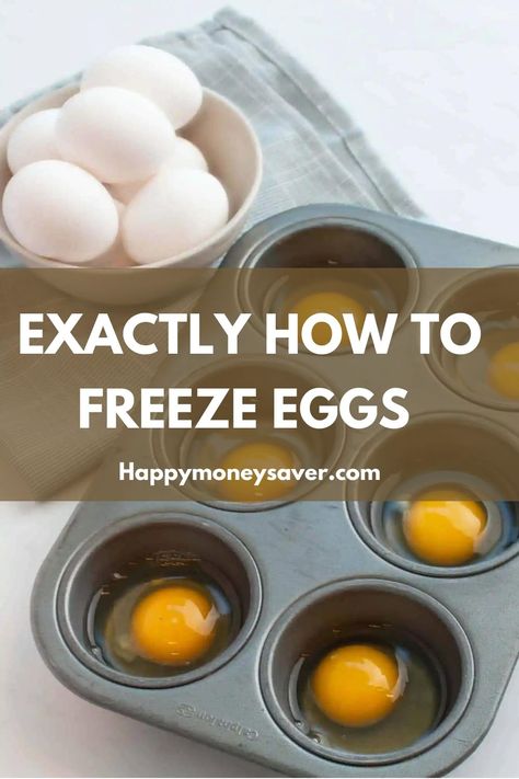 Can You Freeze Egg Whites, Freezing Eggs How To, Freeze Eggs Raw, Can You Freeze Eggs In The Shell, How To Freeze Eggs The Right Way, Fast Freezer Meals, How To Freeze Eggs, Can You Freeze Eggs, Freeze Eggs