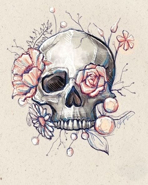 Skull Sketch, Skull Art Drawing, Skulls Drawing, Skeleton Art, Desenho Tattoo, Skull Drawing, Skull Wallpaper, Arte Sketchbook, Pencil Art Drawings