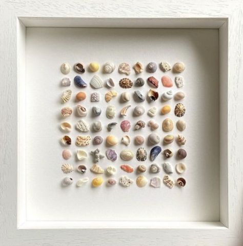 Casita Ideas, Sea Shells Diy, Big Shell, The Knick, Shells Diy, Shell Crafts Diy, She Sells Seashells, Seashell Art, Seashell Crafts