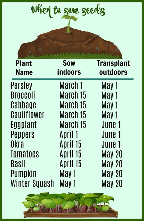 When To Sow Seeds Indoors, Sowing Seeds Indoors, Seed Starting Indoors Diy, Homesteading Knowledge, When To Start Seeds, Growing Plants From Seeds, Michigan Garden, Agricultural Education, Indoor Garden Apartment