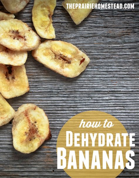 Dehydrating Bananas : a quick tutorial from a tropical homesteader! Dehydrating Bananas, Dehydrator Recipes Fruit, Dehydrated Bananas, The Prairie Homestead, Food Dehydration, Prairie Homestead, Coconut Dessert, Dehydrated Fruit, Dehydrated Food