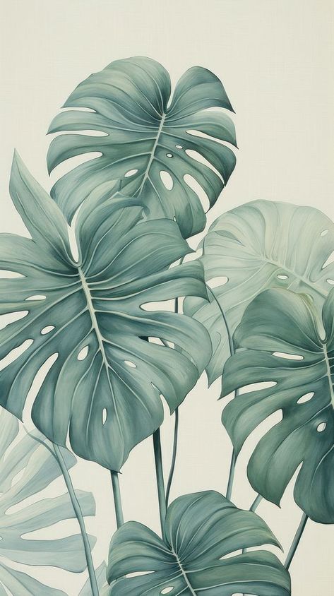 Wallpaper monstera backgrounds drawing sketch. | free image by rawpixel.com / Wan Green Foliage Wallpaper, Monstera Phone Wallpaper, Leaves Drawing Wallpaper, Natural Color Wallpaper, Monstera Background, Wallpaper Medicine, Pastel Green Wallpaper, Phone Wallpaper Themes, Backgrounds Drawing