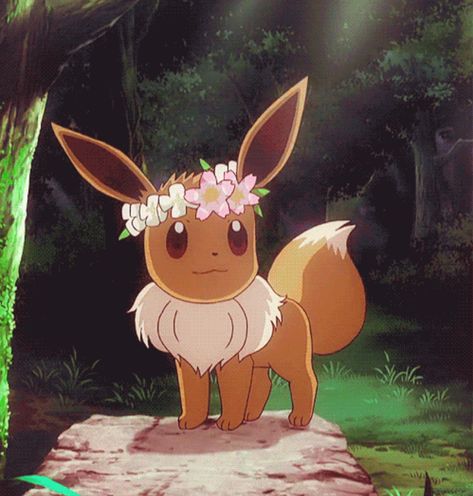 Out of Context Pokemon on Twitter: "… " Flower Crown, Pokemon, Gif, Crown, Twitter, Flowers, Pokémon