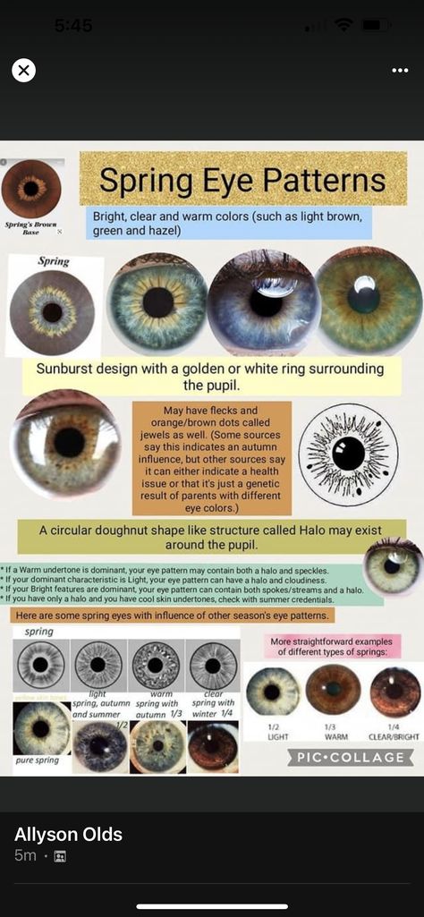 Hazel Eye Color Chart, Color Season Eye Pattern, Seasonal Color Analysis Eyes, Eye Color Season Analysis, Winter Eye Pattern, Spring Eye Pattern, Color Analysis Eye Pattern, Eye Pattern Color Analysis, Spring Eyes