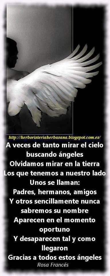 Herboristeria Herbasana Canals: Ángeles en la tierra Universe Quotes, Angels And Demons, Prayer Quotes, Sacred Heart, In Spanish, English Words, Lessons Learned, Reiki, Psychology