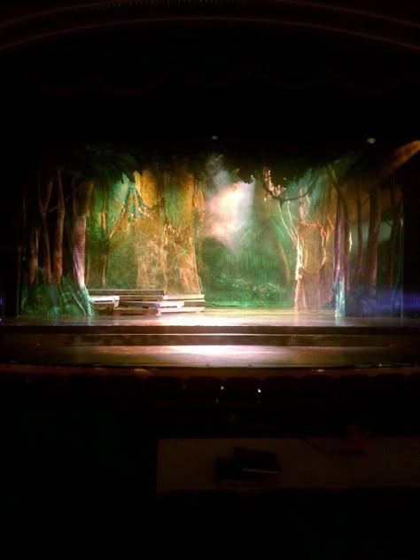 Jungle Book set- like the lighting Book Set Design, Stage Lighting Design, Lion King Jr, Theatre Inspiration, Set Design Ideas, Set Design Theatre, The Jungle Book, Winter's Tale, Set Ideas