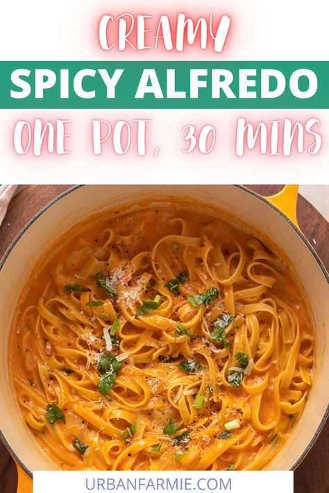 Creamy Spicy Pasta Sauce, Spicy Fettuccine Alfredo, Spicy Alfredo Pasta Recipes, Red Pepper Alfredo Sauce, Red Alfredo Sauce Recipe, Spicy Alfredo Pasta, Spicy Alfredo Sauce, Spicy Alfredo, Red Pepper Pasta Sauce