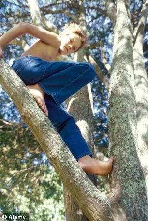 Kids Playing Outside, Natural Poses, Climbing Trees, Tree Climbing, Human Reference, Children Playing, Three Children, Children Play, Blonde Boys