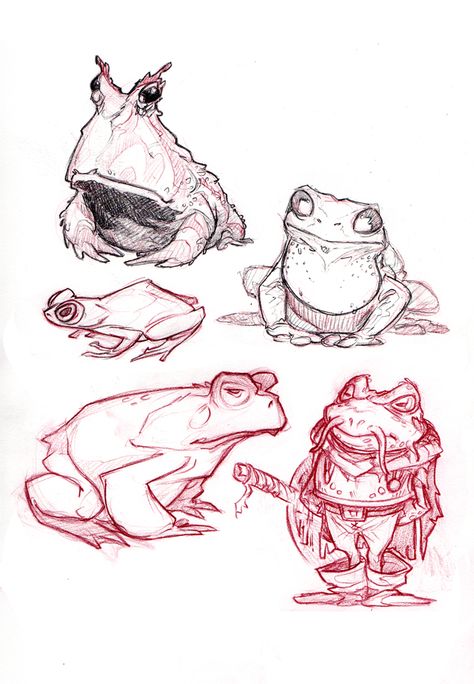 ohlatpz Anna Cattish, Some Drawings, Frog Drawing, Frog Art, Desenho Tattoo, Arte Sketchbook, Frog And Toad, Animal Sketches, Arte Fantasy