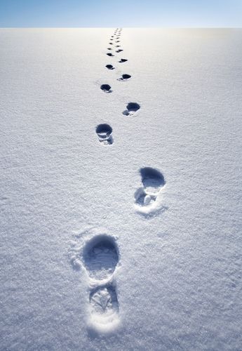 in the snow | Out turned footprints in the snow. Footsteps In Snow, Snow Illustration, Band Of Brothers, Airbrush Art, Snow Ice, Winter Wallpaper, Winter Scenery, Snowy Day, Snow And Ice