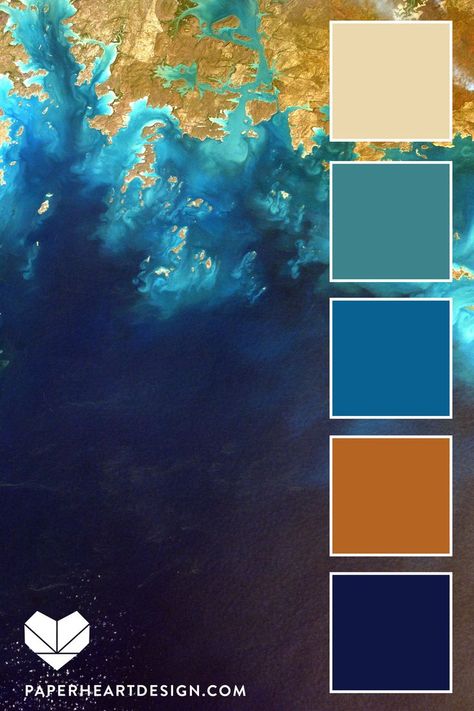 Cerulean Blue Palette, Gender Neutral Colour Palette, Color Palette For Blue, Gender Neutral Color Palette, Blue Colour Pallet, Color Palette With Blue, Colour Palette Blue, Color Palette Pantone, Classic Blue Pantone