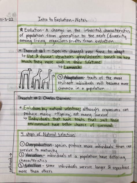 Zoology Project Ideas High School, Honors Biology Notes, Evolution Notes Biology, Natural Selection Notes, Anthropology Notes, Evolution Concept Map, 7th Grade Notes, Evolution Notes, Ecology Notes