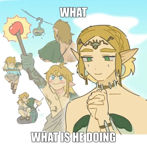 Totk Zelda, Twitter Drawing, Botw Zelda, Princesa Zelda, Legend Of Zelda Memes, Zelda Funny, Video Game Memes, Link Zelda, Zelda Art