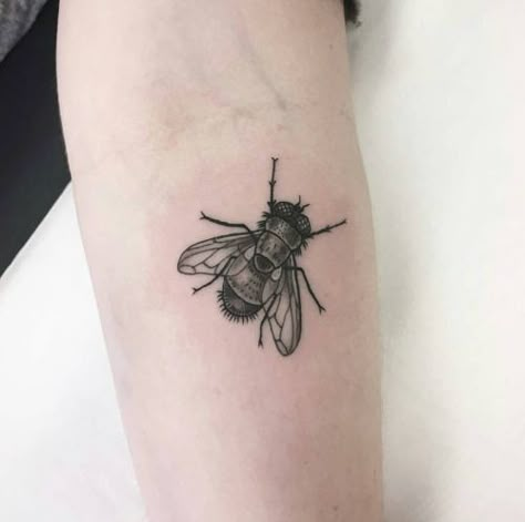 House Fly Tattoo, Fly Tattoo Design, Fly Tattoos, Fly Tattoo, Canada Tattoo, Flying Tattoo, Vegan Tattoo, Insect Tattoo, Botanical Tattoo