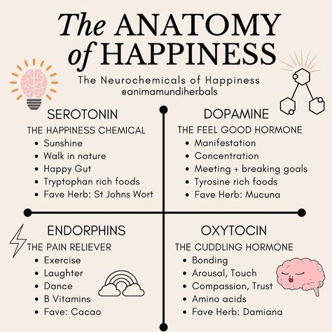 Modrn Sanctuary on Instagram: “Good news 📰! Happiness comes from the inside, and here are a few ways to balance up with those neurochemicals that can help you feel happy.…” Happiness Chemicals, Evolutionary Biology, Happy Gut, Vie Motivation, Mental And Emotional Health, Self Care Activities, Self Improvement Tips, Mental Wellness, Emotional Health