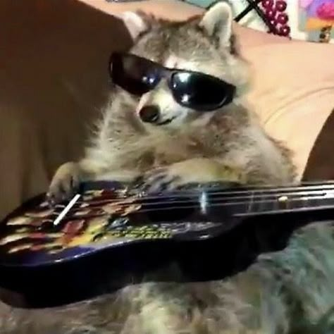 Behavior Problems, A Puppy, Need To Know, Guitar, Sunglasses