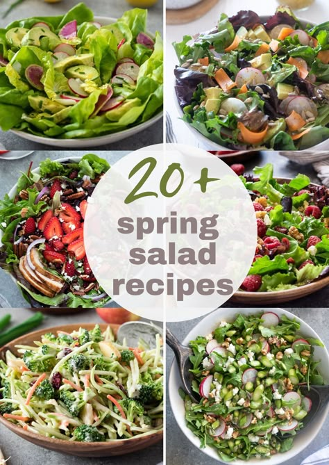 This collection of Spring Salad Recipes is packed with delicious ways to utilize spring vegetables and fruit all season long! Recipes include main dish salad, pasta salad, fruit salad and so much more! #spring #saladrecipes #healthyrecipes Family Salad, Strawberry Avocado Salad, Greek Cucumber Salad, Spring Salads, Roasted Potato Salads, Salad Vegetables, Healthy Noodles, Spring Salad Recipes, Bacon Salad