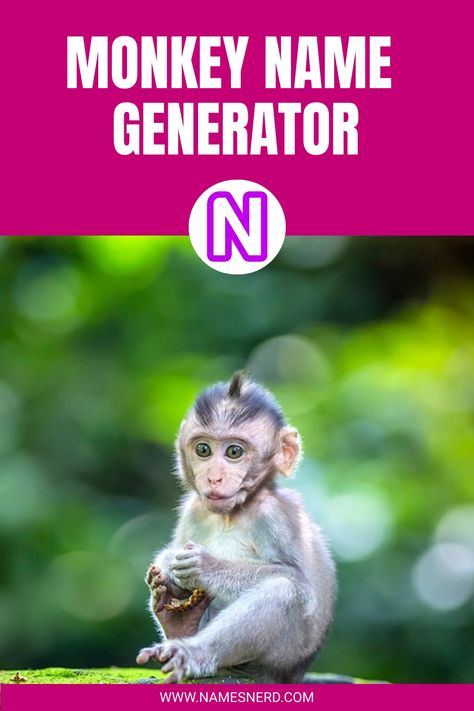 Monkey Name Generator - NamesNerd Monkey Names, Boy Monkey, Brass Monkey, Chunky Monkey, Monkey Girl, Monkey Stuffed Animal, Name Generator, Monkeys Funny, Monkey Business