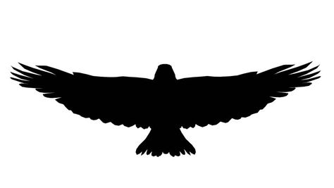 Sketch Silhouette, Freedom Symbol, Small Eagle Tattoo, Wings Flying, Haliaeetus Leucocephalus, Eagle Silhouette, Animal Sketch, Simple Tattoos For Guys, Wrist Tattoos For Guys