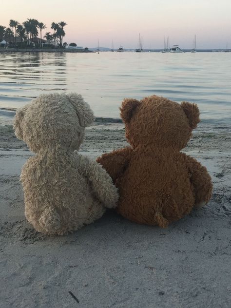 Teddy Bears, Boats, Bears, Songs, Water