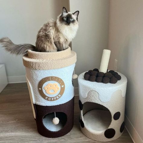 Boba Tea Cup, Cute Cat Things, Unique Cat Bed, Coffee Boba, Cat Room Decor, Katt Grejer, Cup Cat, Cat Tree House, Cat Things