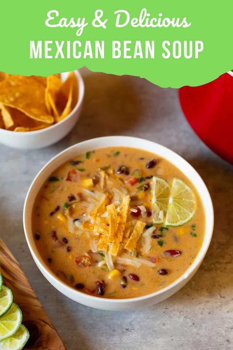 Mexican White Bean Soup, Mexican Bean Soup Recipes, Mexican Bean Stew, Soup With Refried Beans, Bean Soup Mexican, Refried Bean Soup, Mexican Bean Soup Frijoles Charros, Assyrian Recipes, Mexican Bean Soup