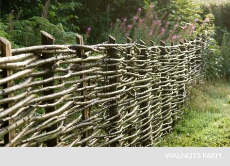 I learned to build a waddle fence like this by my brother using waterspout limbs when pruning my apple trees. Makes a strong little fence. Wattle Fence, Country Fences, Rustic Fence, Fencing & Gates, Garden Vines, English Cottage Garden, Have Inspiration, Wooden Fence, Garden Fencing