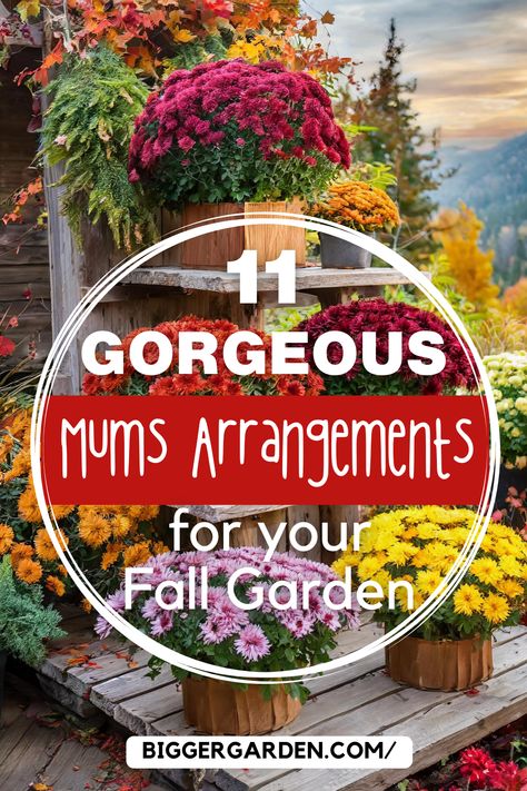 11 Creative Fall Arrangement Ideas to Showcase Mums in Your Garden. Explore autumn planters, fall urns, and fall flower pots to display your fall flowers, including mums and chrysanthemums. Discover ideas for fall container gardens, fall pots, and fall chrysanthemum planters to enhance your container gardening flowers. Fall Urns, Autumn Planters, Mum Planters, Fall Urn, Whiskey Barrel Planter, Fall Pots, Potted Mums, Planting Mums, Pumpkin Planter