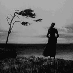 Anna Morgan, Ring Horror, Liquid Smooth, Images Terrifiantes, Black And White Gif, Creepy Gif, Oc Reference, Arte Peculiar, Scary Gif