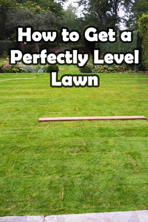 Clover Lawn, Lawn Leveling, Lawn Care Schedule, Boost Curb Appeal, Aerate Lawn, Garden Maintenance, Landscaping Tips, Diy Landscaping, Lawn And Garden