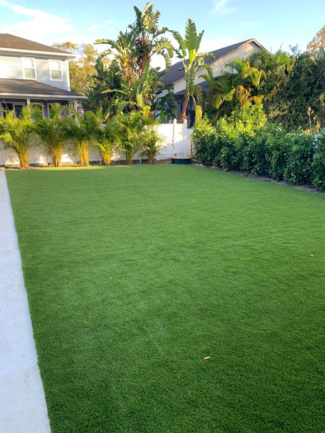 This backyard will never see another brown spot again! https://moderngroundsfl.com/ #ModernGrounds #Tampa #SouthTampa #SyntheticTurf #SyntheticGrass #TampaLandscaping #LawnGoals #OutdoorGoals #Backyard #BackyardInspo Big Grassy Backyard, Large Grass Backyard, Backyard Background, Garden Grass, Cute Background For Zepeto, Plastic Grass, New Ceiling Design, No Grass Backyard, Fake Grass