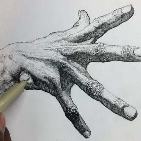 Hand Pencil Drawing, Hand Gesture Drawing, Perspective Drawing Lessons, Drawing Hands, Human Anatomy Drawing, Hand Drawing Reference, Anatomy Sketches, Gesture Drawing, Arte Sketchbook