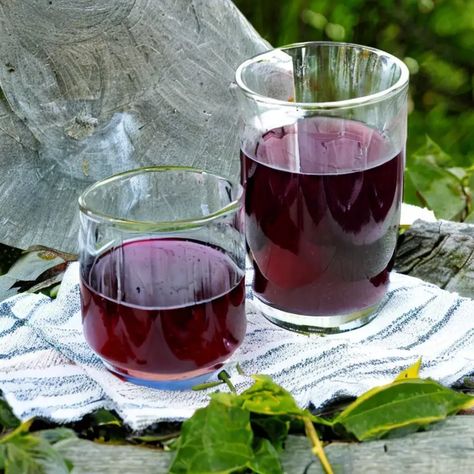 As an enthusiast of homemade liqueurs, Damson Plum Liqueur holds a special place in my heart. This enticing drink is created using small, tart plums that are Plum Liqueur Recipe, Damson Plum Recipes, Diy Liquors, Plum Drink, Homemade Liqueur Recipes, Homemade Liqueur, Lotr Party, Mead Wine, Liqueur Recipes