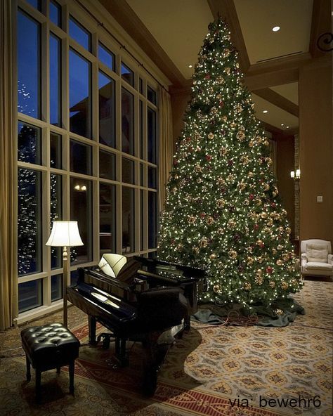 Black grand piano with Christmas tree Black Grand Piano, Piano Area, Grand Piano Living Room, Grand Piano Room, Piano Living Rooms, Christmas Piano, Piano Decor, Baby Grand Pianos, Classy Christmas