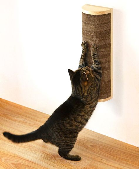 Save Space in Style With These Wall-Mounted Cat Scratchers | Catster -- Several options plus a couple of DIYs. Cat Scratcher Wall, Diy Cat Scratcher, Cat Playground Outdoor, Diy Chat, Katt Grejer, Cardboard Cat, Cat Playground, Cat Scratchers, Animal Room