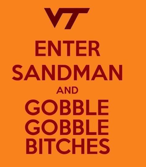 Gobble gobble! Tech Aesthetic Wallpaper, Virginia Tech Aesthetic, Ios14 Aesthetic, Virginia Tech Football, Hokey Pokey, Football Champions, Enter Sandman, I Love My Hubby, Tech Aesthetic