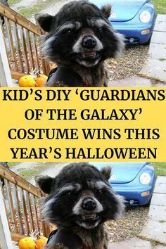 Guardians Of The Galaxy Costume, Rocket Raccoon Costume, Galaxy Costume, Rocket Costume, Raccoon Costume, Diy Rocket, Rocket Raccoon, Mom Diy, The Guardians