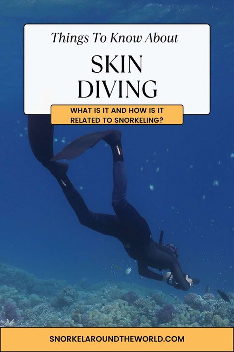 Snorkeling Tips, What Is Skin, Skin Diver, Skin Diving, Best Snorkeling, Underwater Photos, Deep Skin, Breathing Techniques, Take Better Photos