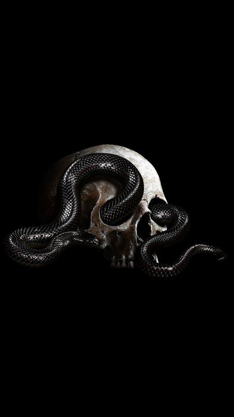 Snake Book Cover, Black Snake Wallpaper Aesthetic, Dark Snake Aesthetic, Black Snake Aesthetic, Snake Core, Angel By The Wings, Book Cover Art Ideas, Snake Skeleton, Skull Animal