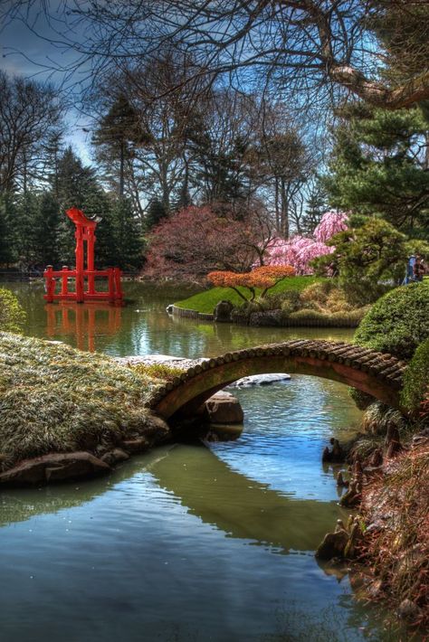 Brooklyn Botanic Garden - NYC-ARTS Brooklyn Garden, Fairchild Tropical Botanic Garden, Brooklyn Botanical Garden, Atlanta Botanical Garden, Chicago Botanic Garden, Botanical Gardens Wedding, Meteor Garden 2018, Sun And Water, Kew Gardens